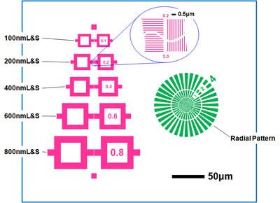 X Ray Chart