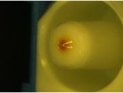 Polishing process (single core),ADS