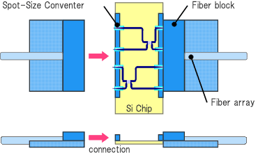 Schematic of Fiber array connection 